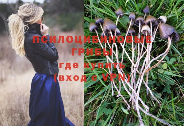 таблы Алексеевка
