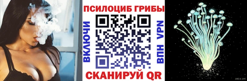 как найти закладки  Юрьевец  Галлюциногенные грибы Psilocybine cubensis 